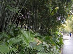 -晓港公园