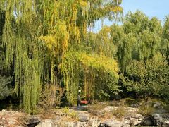 -三忘湖 SWANSEEN(柳荫公园店)