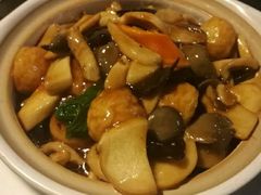 野山菌鱼面筋-云中小雅