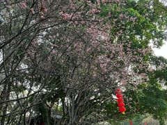-乌山风景区