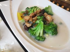 上汤西兰花-玉兰苑一等茶餐厅