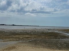 -北海金海湾红树林生态旅游区