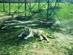 -北京野生动物园