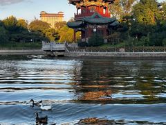 -迎泽公园