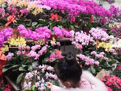 -秦美花卉(天朗·莱茵小城2期店)