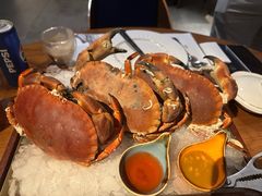 -Mr.Fish鱼鲜生海鲜放题(高德置地冬广场店)