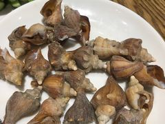 -潮庭·大连海鲜·炭火烧烤·扇贝王(大连店)
