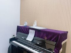 -珠江钢琴艺术中心(文一路店)