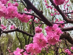 -元大都城垣遗址公园