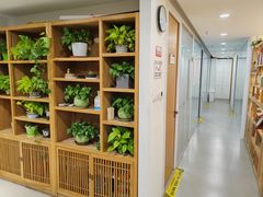 -杏林康桥中医正骨·体态矫正·跌打损伤·推拿按摩(国贸建外SOHO店)