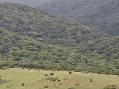 -大姆山草场