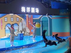 -重庆欢乐海底世界