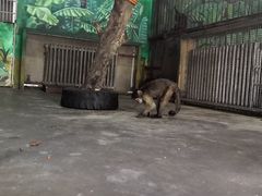 -西安秦岭野生动物园