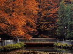 -山王坪喀斯特国家生态公园