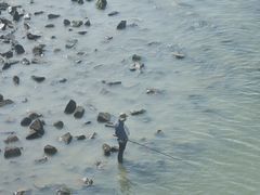 -原味蒸汽海鲜(嵊泗店)