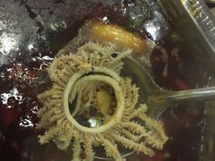 -蜀九香火锅(九眼桥店)