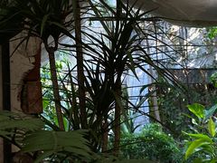 -金陵花卉交易市场