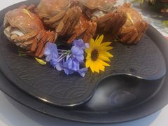 -小厨娘淮扬菜(天印大道店)