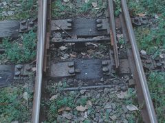 -共青国家森林公园-售票处