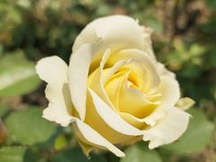 -春来和(汉城南路店)