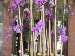 -浅深Cheersum(曹杨店)
