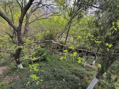 -幕燕滨江·燕子矶公园