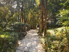 -云龙山