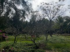 -白沙门生态公园