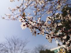 -上海旅游集散中心(万体站)