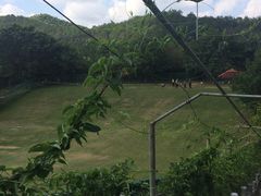 -梅州雁山湖国际花园度假区