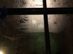 -汉景帝阳陵博物院
