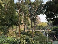 -成都市活水公园