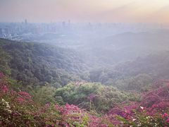 -卡朋西餐(悦汇城店)