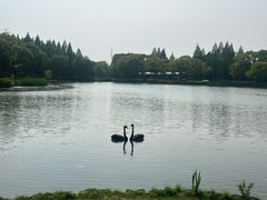 -新洲生态园