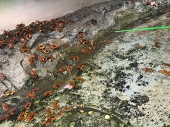-正佳雨林生态植物园