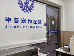 -申普宠物医院·眼科·心内科·影像科(普陀分院)