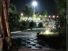 -莲花山花海