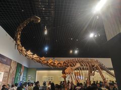 -衢州市博物馆