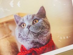 -猫的天空之城概念书店(杭州南宋御街店)