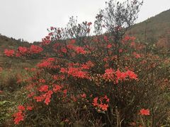 -广东天露山旅游度假区