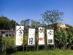 -动邦皮划艇·桨板·独木舟·团建户外运动俱乐部