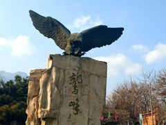 -北京鹫峰国家森林公园