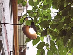 -春庄咖啡SpringHues(钟楼小区店)