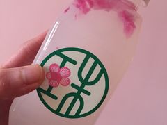 -宝珠奶酪(闵行仲盛店)