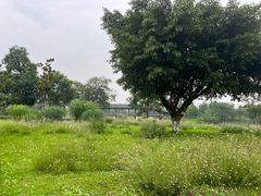 -眉山湿地公园(东坡区)