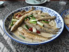 家烧小石斑鱼-天台徐家小吃
