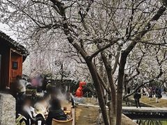 -春风习习