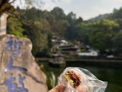 -蔺大妈松花糕