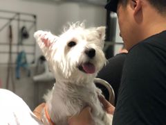 -Oh My Dog宠物沙龙(伊珊娜皮毛护理店)