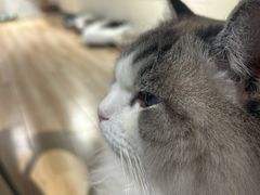 -听TA说宠咖·宠物生活馆(天韵水岸店)